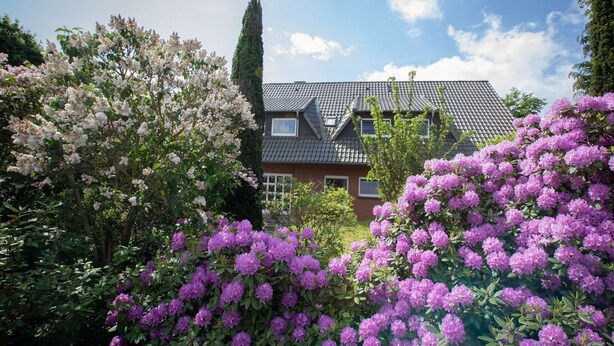 Ein Haus mit Ziegeldach, umgeben von üppigem Grün und blühenden Büschen.