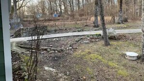 A view of a forested area with a stone wall, a concrete path, and a small pond. - Maggie's Place (Lookout Mountain)