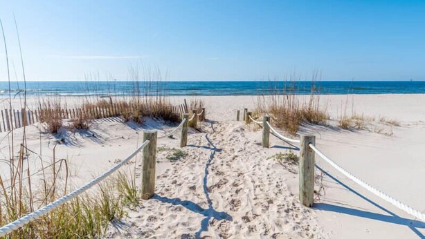 A sandy beach path leading to the ocean with wooden posts and ropes marking the entrance. - Seahawk South B by Southern Vacation Rentals (Gulf Shores)