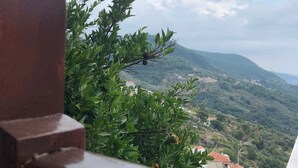 Blick aus einem Fenster auf eine gebirgige Landschaft mit grüner Vegetation und Gebäuden in der Ferne.