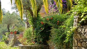 Eine Steinsäule mit Kletterpflanzen und Blumen, eine Palme und eine Steintreppe.