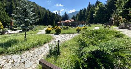 ECO Villa Olympus With Sauna Surrounded by Mountains and Forest