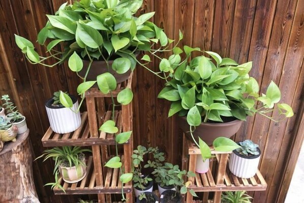 A wooden vertical garden structure with multiple planters. - Yandang Mountain Mingxiu Pavilion Inn (Yueqing)