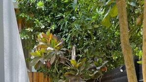 A narrow outdoor space with a wooden fence, a gravel path, and various plants. - Guiones 1BR: Walk to Beach and Work (Playa Guiones)