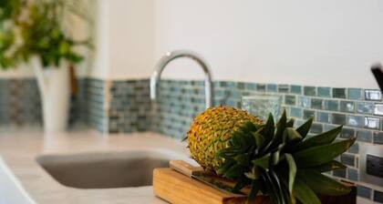 SALT 6 - Unique 2 bedroom in Playa Guiones Nosara