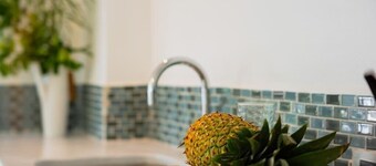 SALT 6 - Unique 2 bedroom in Playa Guiones Nosara