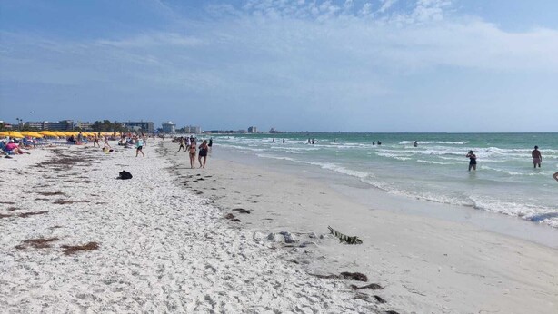A beach with people walking and swimming, and umbrellas set up along the shore.