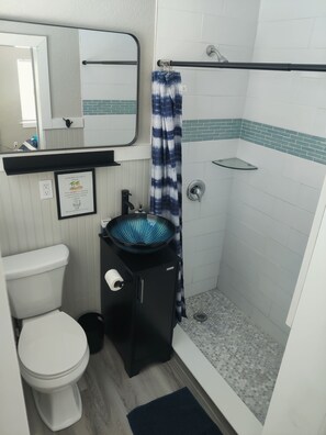 Hair dryer, towels, shampoo, toilet paper