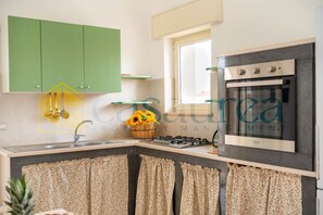 Fridge, stovetop, cookware/dishes/utensils