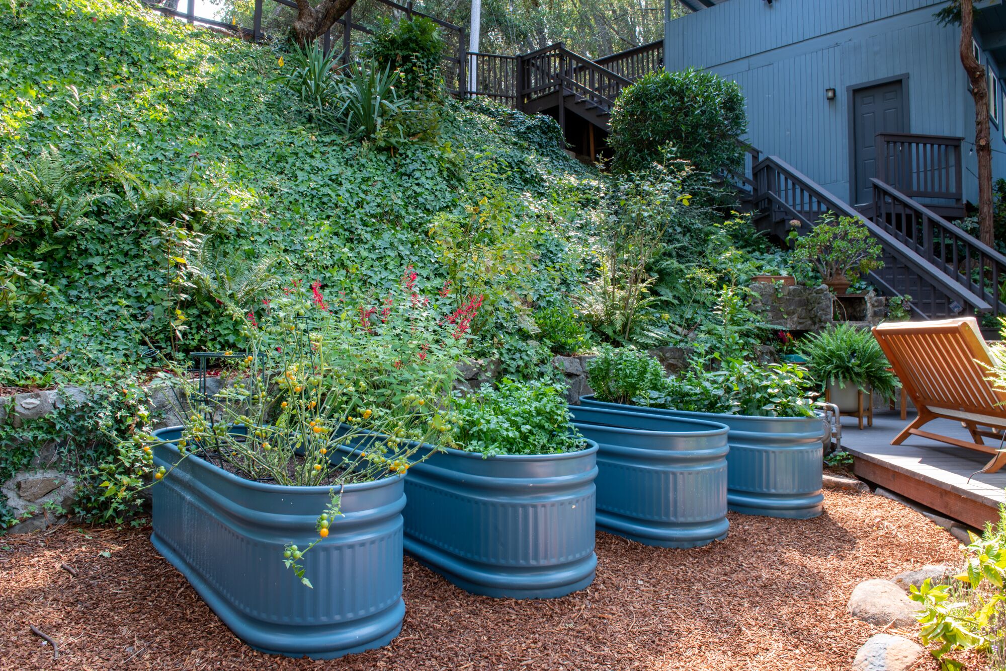 Áreas de la propiedad