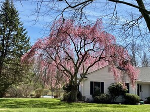 Exterior - Palm Springs Vibes on the North Fork (Southold)