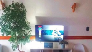 Ett vardagsrum med en tv, synliga träbjälkar i taket, en krukväxt, ett skåp och en stol.