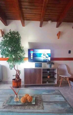 A living room with a television, wooden ceiling beams, a potted plant, a cabinet, and a chair. - Ushuaia Magnifica (Ushuaia)