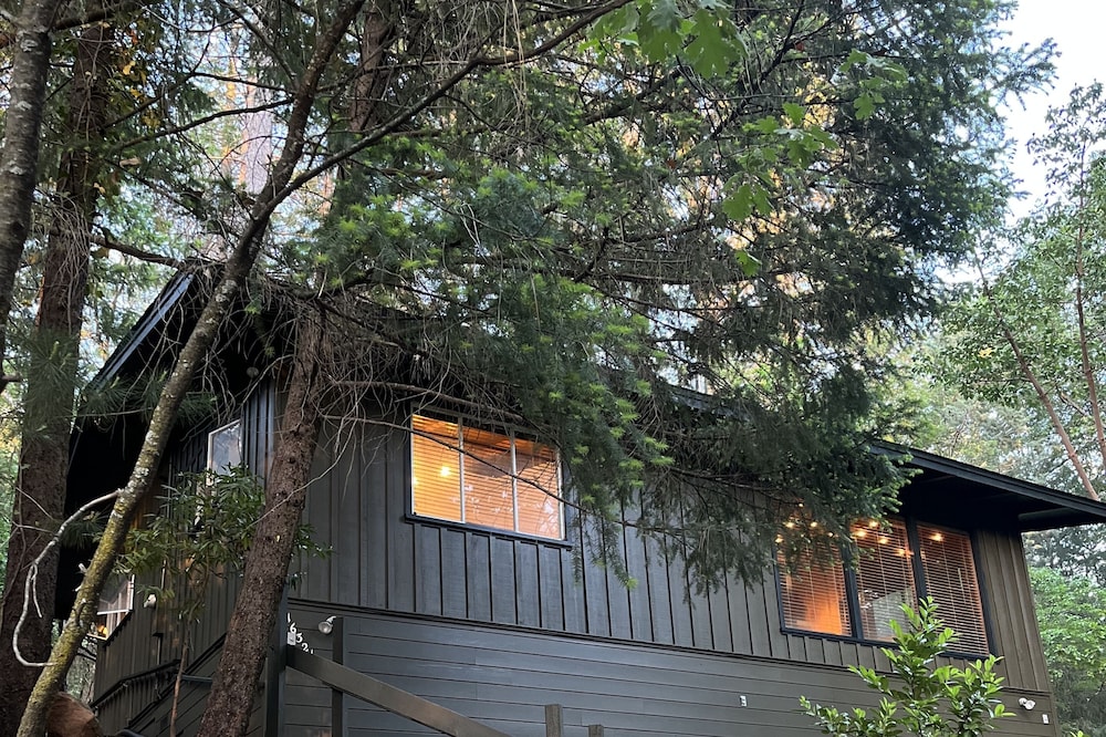 Modern and beautiful renovated cabin in Lush Lake County!