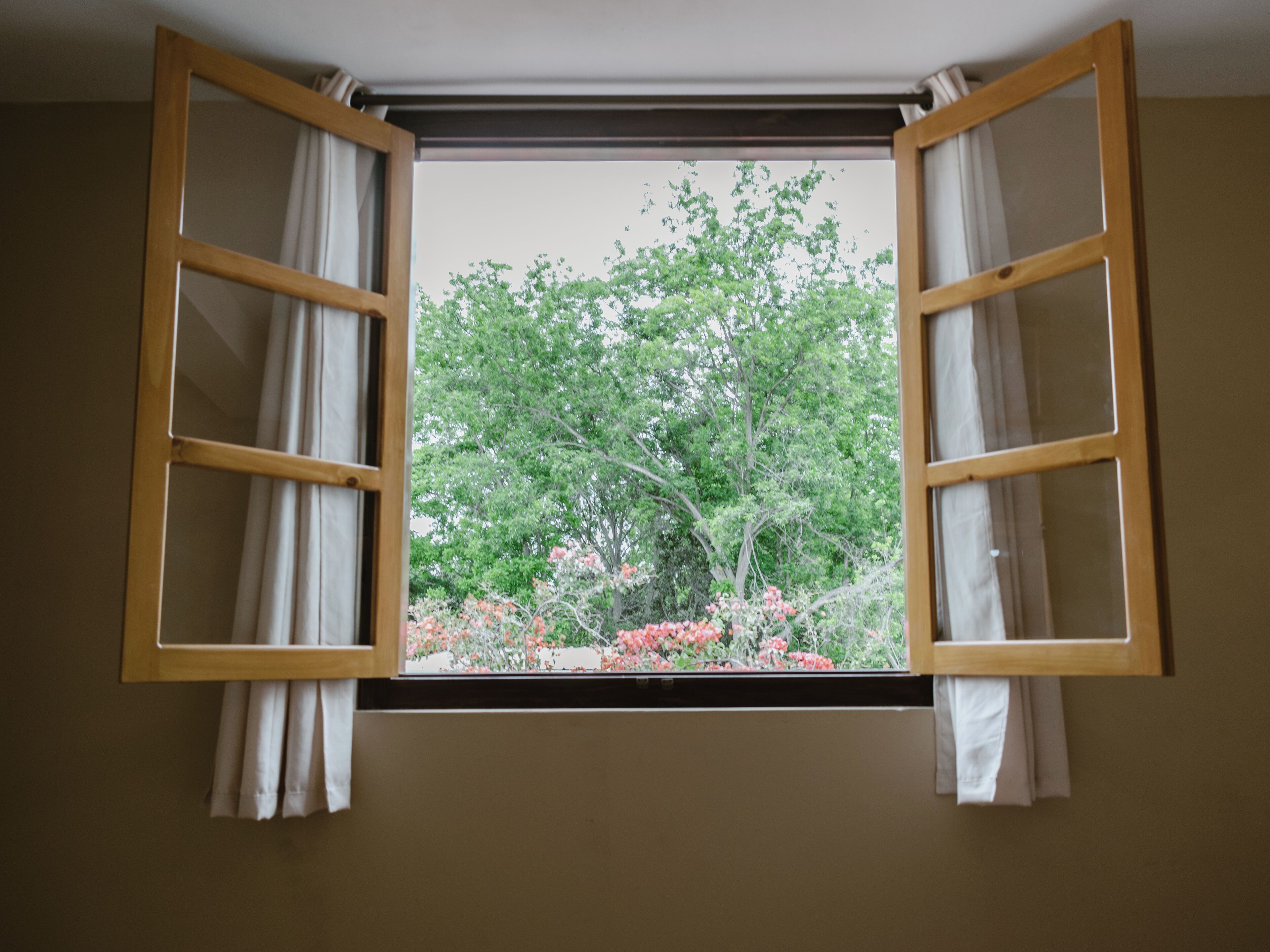 A window with wooden frames and white curtains, offering a view of trees and pink flowers.