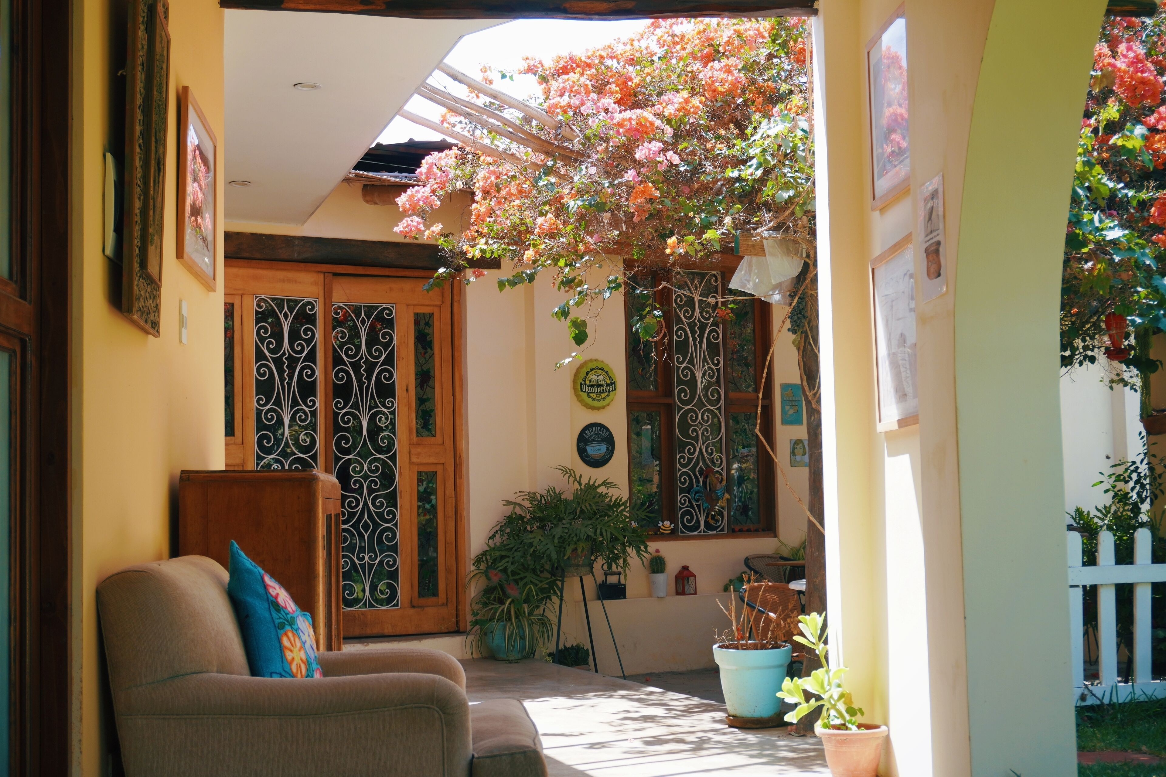 A cozy interior with a sofa, potted plants, and decorative elements.