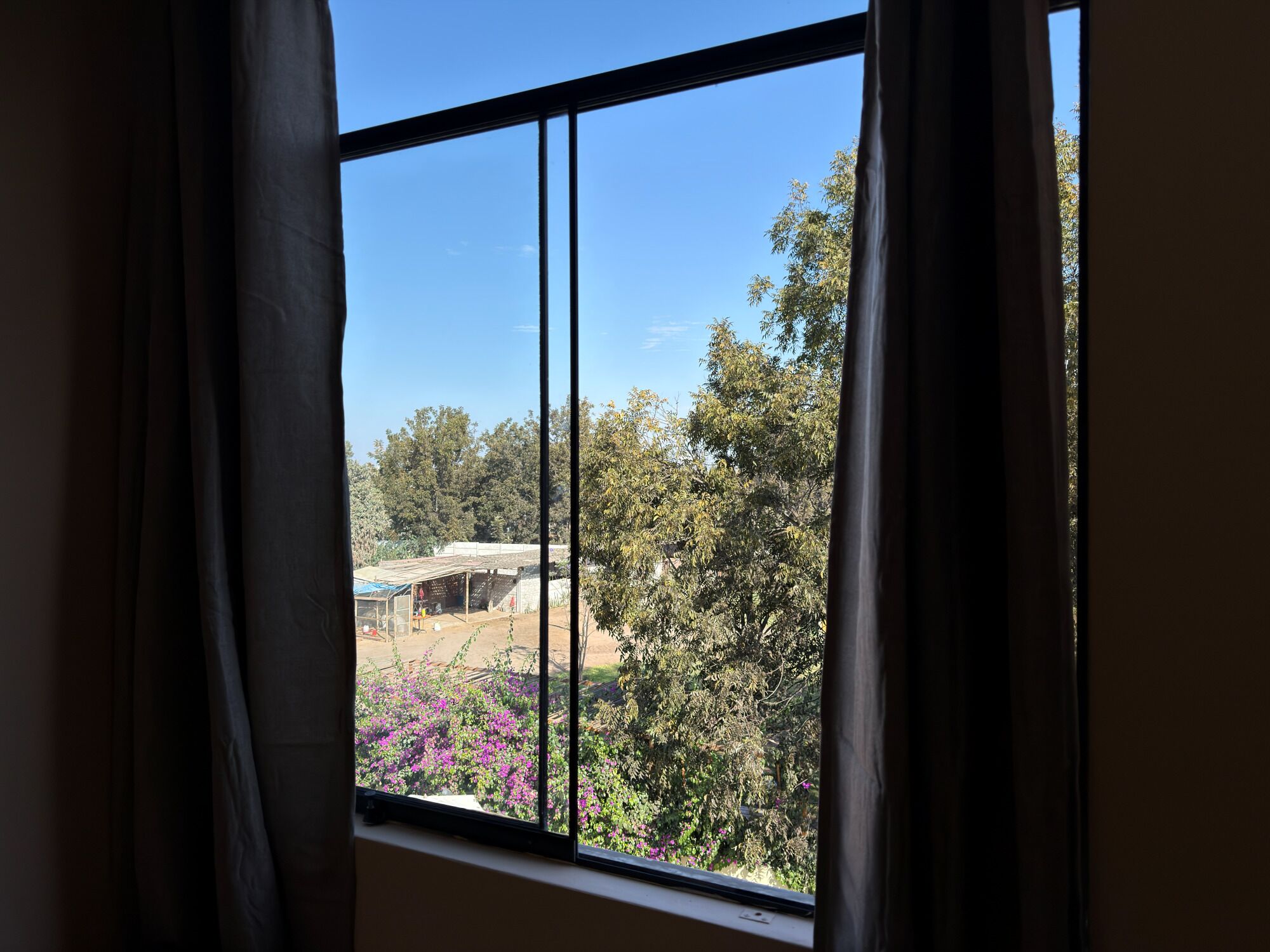 A window with a view of a building and surrounding trees.