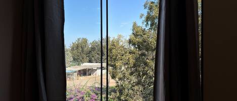 A window with a view of a building and surrounding trees.