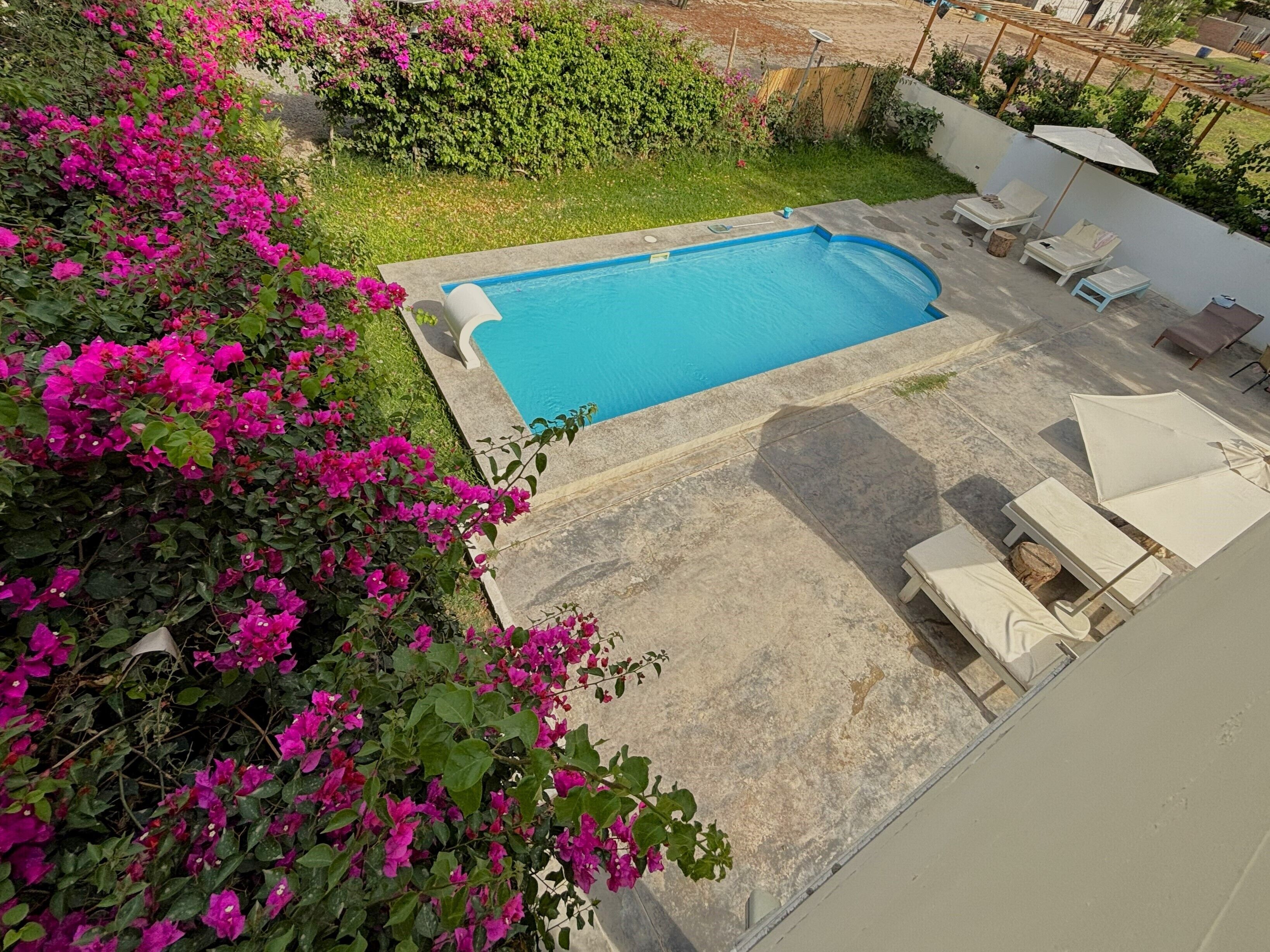 Vista desde la habitación