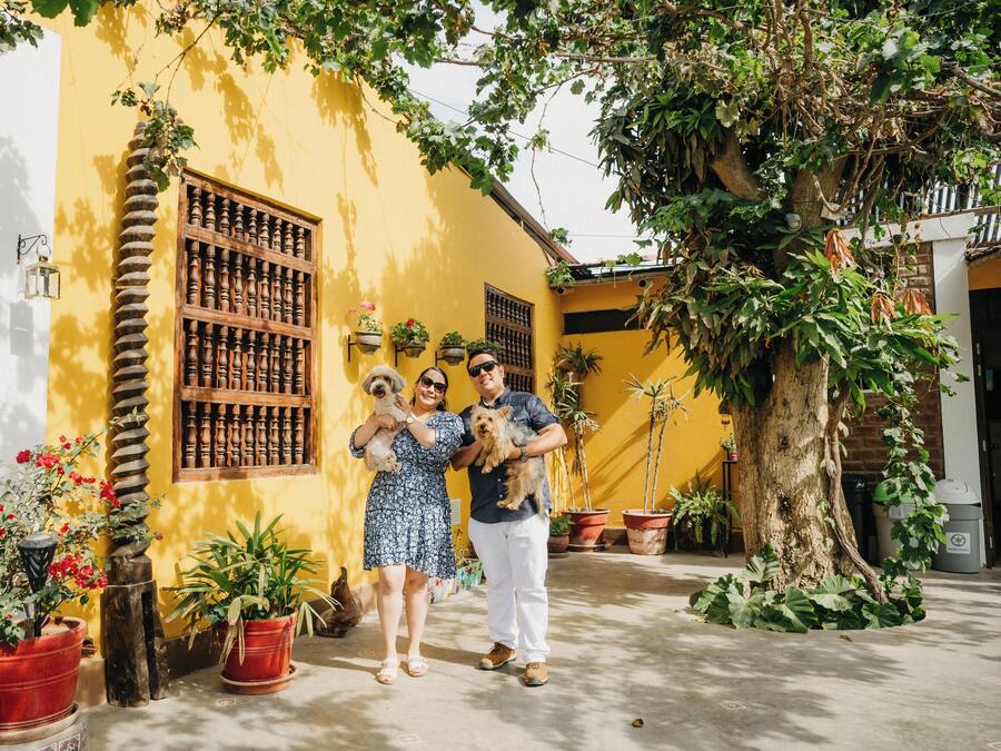 A yellow building with a wooden door, potted plants, and a large tree.