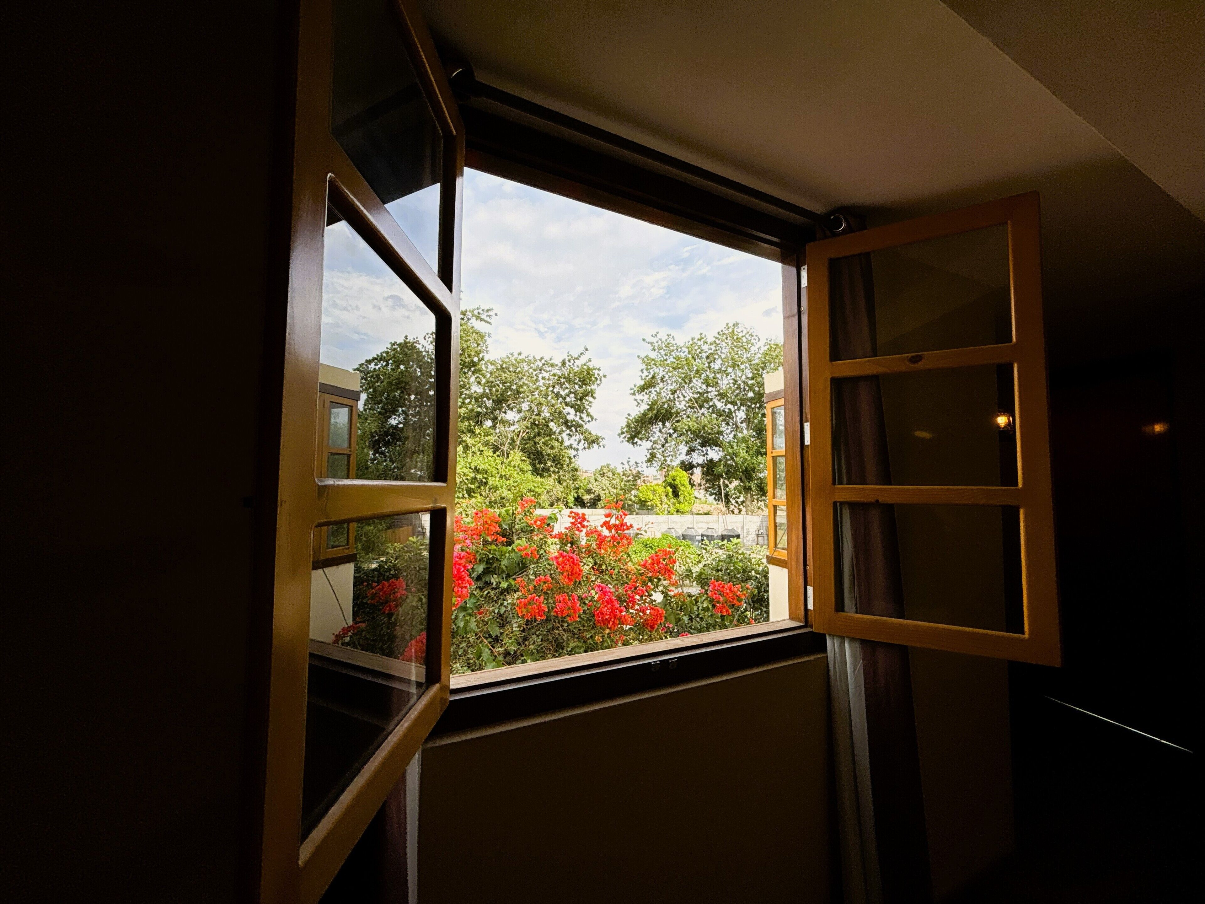 An open window with a view of a garden with red flowers and trees.