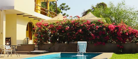 Una piscina al aire libre, sombrillas, sillones reclinables de piscina