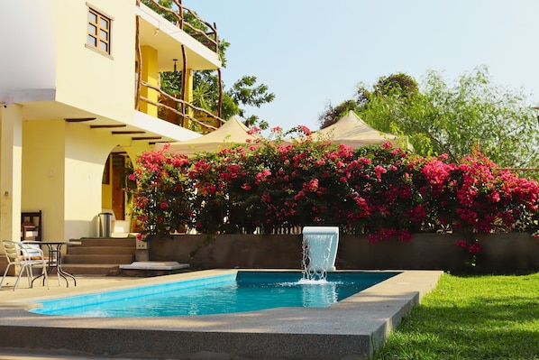 Outdoor pool, open 8:00 AM to 8:00 PM, pool umbrellas, pool loungers