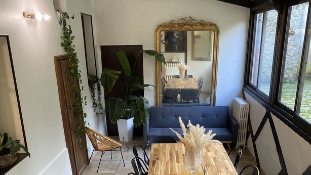 Un coin repas avec une table en bois, des chaises noires et un canapé bleu. On y trouve également des plantes en pot et un miroir accroché au mur.