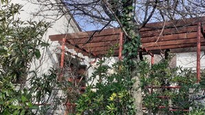 A building with a red roof and a tree in front. - Apartments Rudi - One Bedroom Apartmen with Terrace and Sea View (Klenovica)