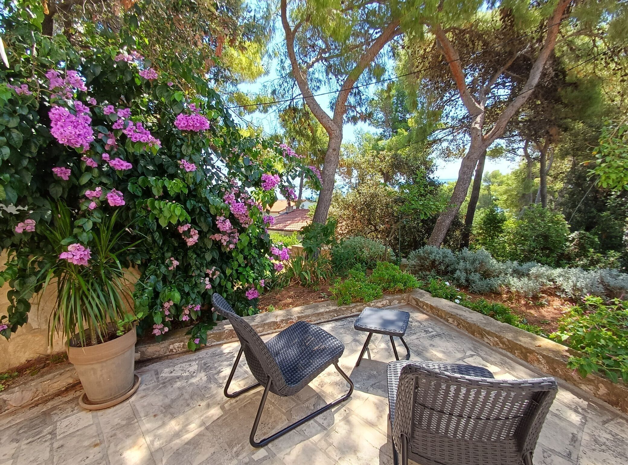 An outdoor seating area with wicker chairs and a potted plant.
