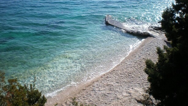 A beach with clear water, a rocky shoreline, and some vegetation. - Apartments Villa Pelegrin - Studio Apartment with Sea View (Apartment (Zavala)