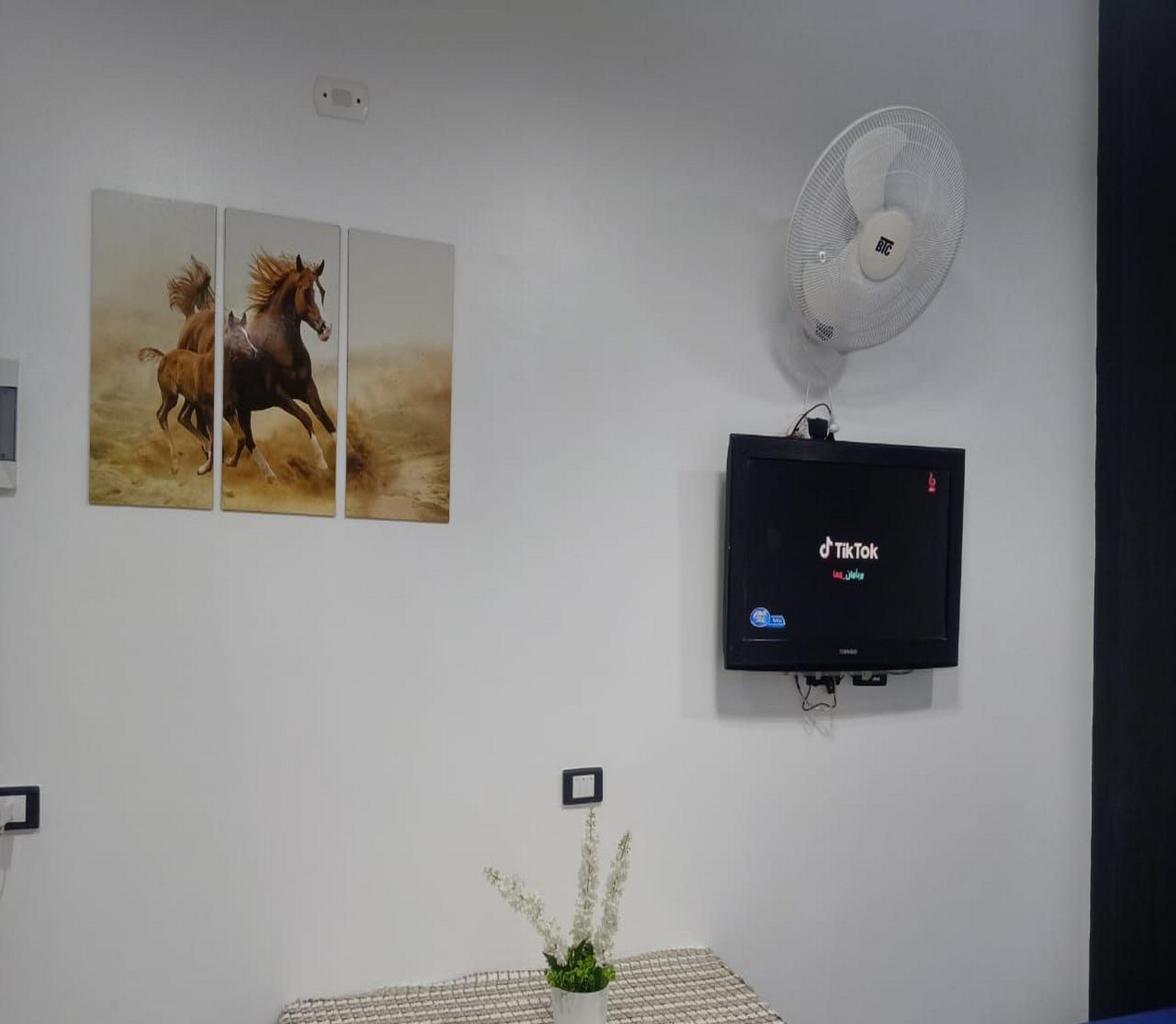 city apartment | living area | 47-inch lcd tv with satellite channels, tv