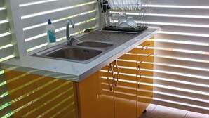 Una cocina con un lavamanos, dos armarios y un escurreplatos.
