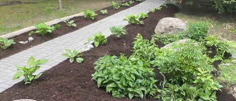 Áreas de la propiedad