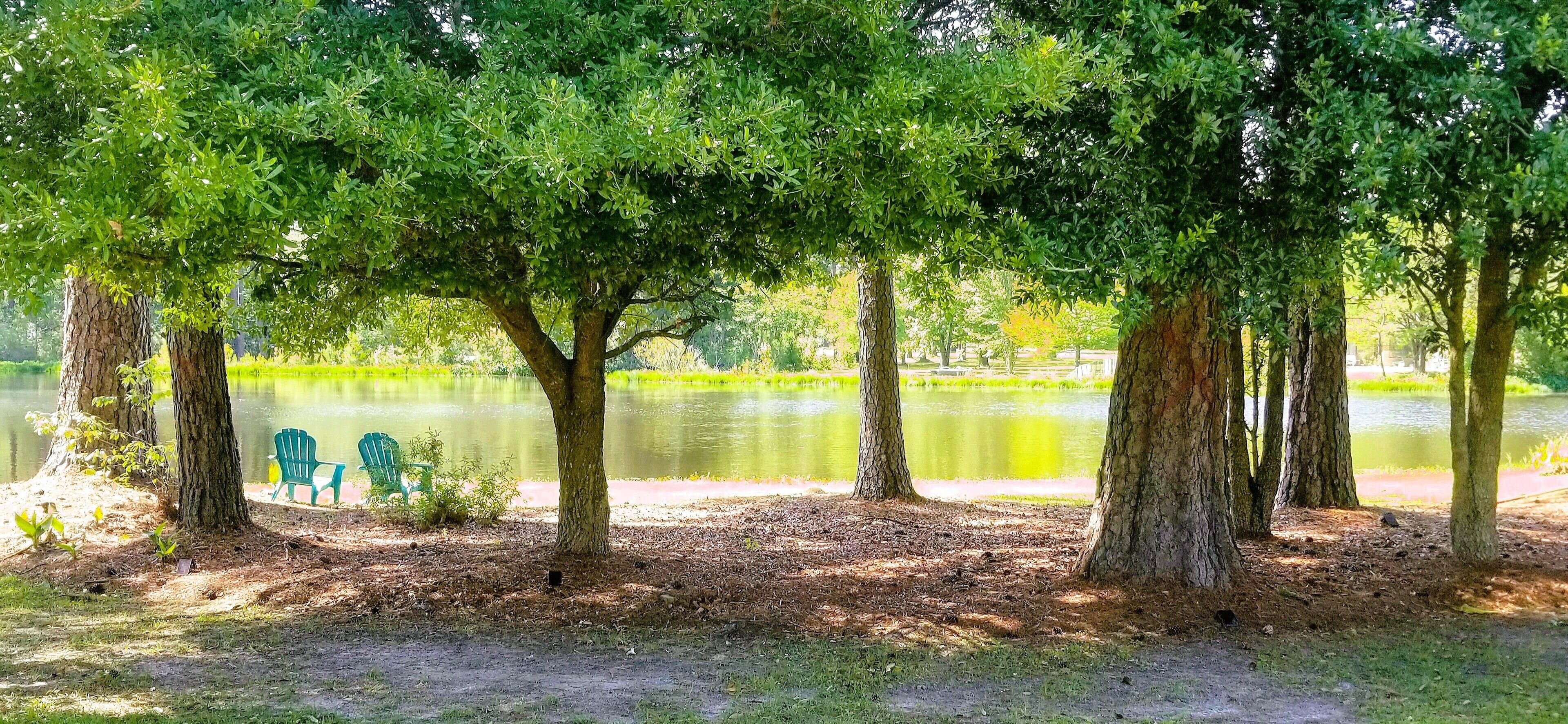 Un parco tranquillo con vista sul lago, alberi e una panchina.