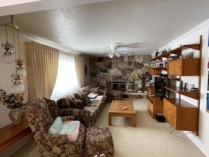 Televisión, chimenea y libros 