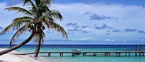Chaises longues, serviettes de plage