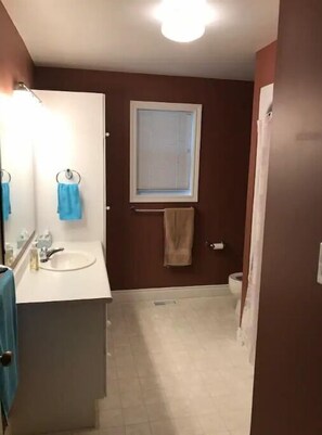 Shower, hair dryer, toilet paper