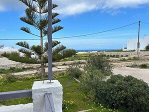 Terrain de l’hébergement 