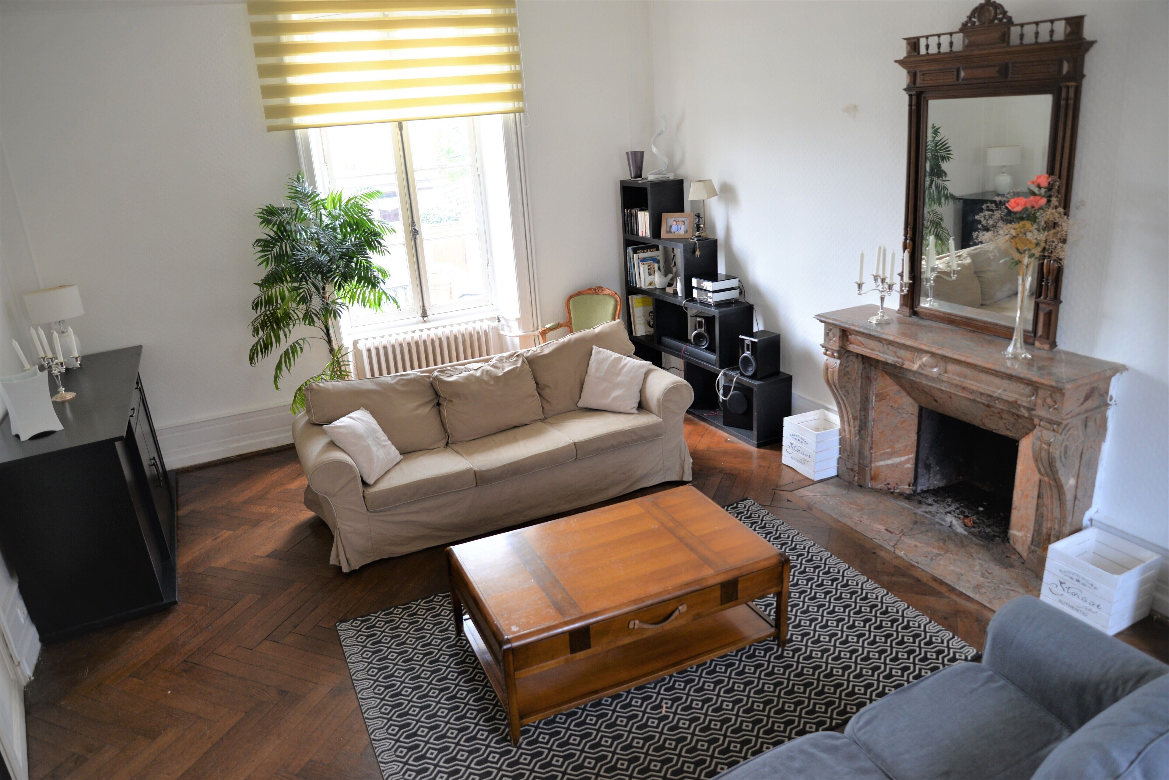 A living room with a sofa, coffee table, fireplace, bookshelf, and a potted plant.