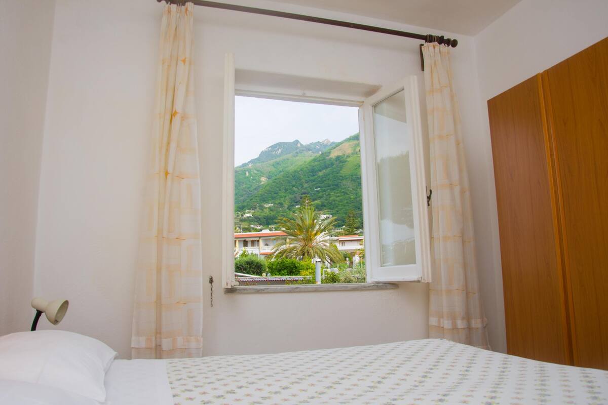 Un dormitorio con cama, ventana con cortinas y vista a una montaña y edificios.