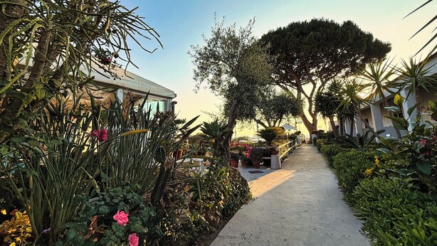 Un sendero bordeado de plantas y árboles diversos, que conduce a un edificio con fachada de vidrio.