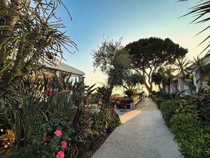 Un sendero bordeado de plantas y árboles diversos, que conduce a un edificio con fachada de vidrio.