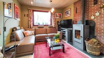 Smart TV, chimenea, reproductor de DVD y estéreo