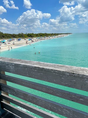Sun-loungers, beach towels - New! Beautiful Beach House, Venice (Venice)