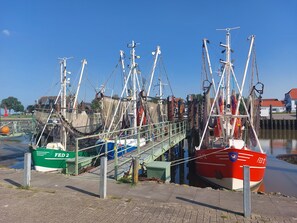 Marina - Wohnung Wichtel Hol -anlage auf Paradiesischem Grundstück Fußläufig zur Nordsee! (Butjadingen)