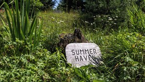 A stone sign with the text "SUMMER HAVEN" surrounded by lush greenery and wildflowers.
