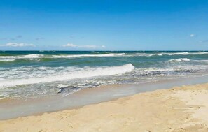 Playa en los alrededores y pesca 