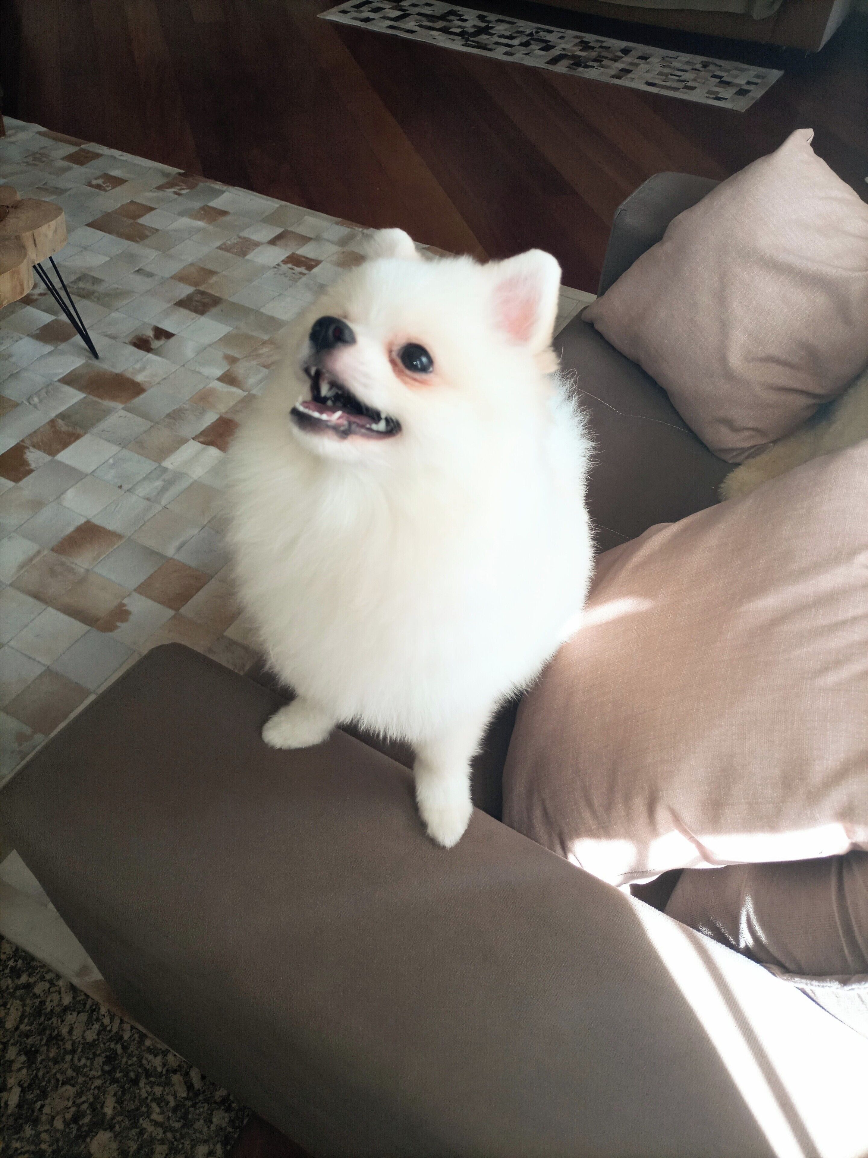 Photo - Pousada Confraria da Terra