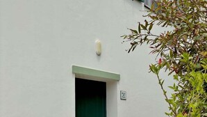 A green door with a small step leading up to it, a white wall, and a small plant with pink flowers to the right. - Casa dos Pais - Garden & Lake I (Ponta Delgada)
